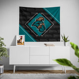 Pixsona Coastal Carolina Chanticleers Boxed Tapestry